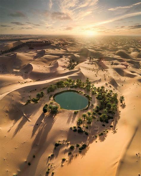 Desert Oasis betsul